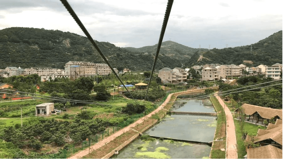 新世纪游乐：景区新宠项目如何持续抓住游客眼球？