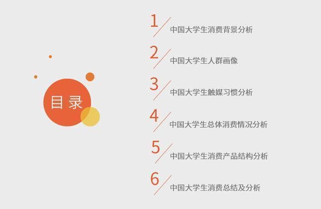 2024年中国大学生消费行为调查研究报告