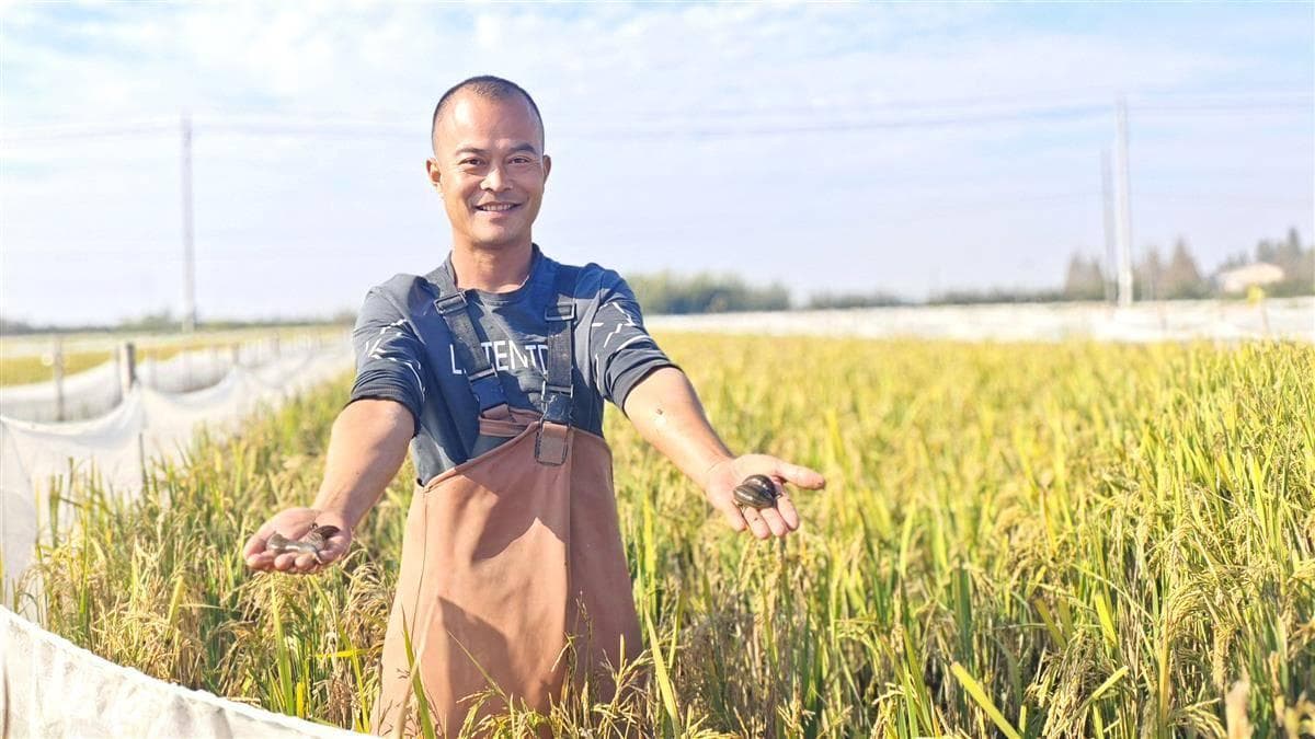 潜江水蛭养殖规模全国第一，产值突破10亿元 水中“软黄金” 游出“蛭”富路