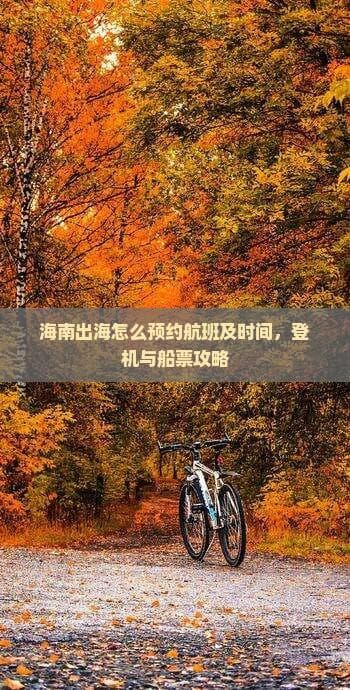 海南出海怎么预约航班及时间，登机与船票攻略