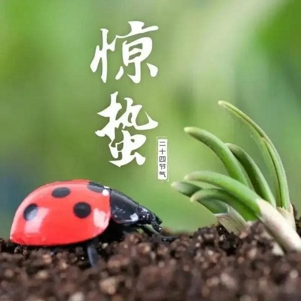 今日惊蛰“打小人”：2不吃、忌3事 敬天时顺人心