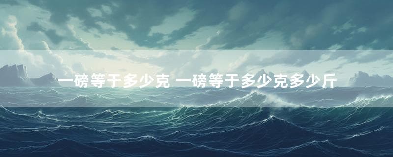 一磅等于多少克？一磅等于多少斤？单位换算与蛋糕尺寸指南