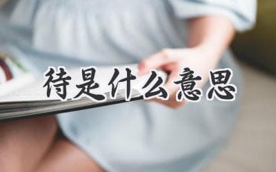 待是什么意思？多维度解读"待"字的含义和用法