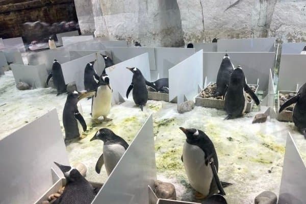 圣亚海洋世界票价攻略：门票信息、优惠政策及游玩指南