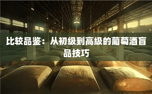 三步掌握葡萄酒盲品：从新手到专家的实用指南