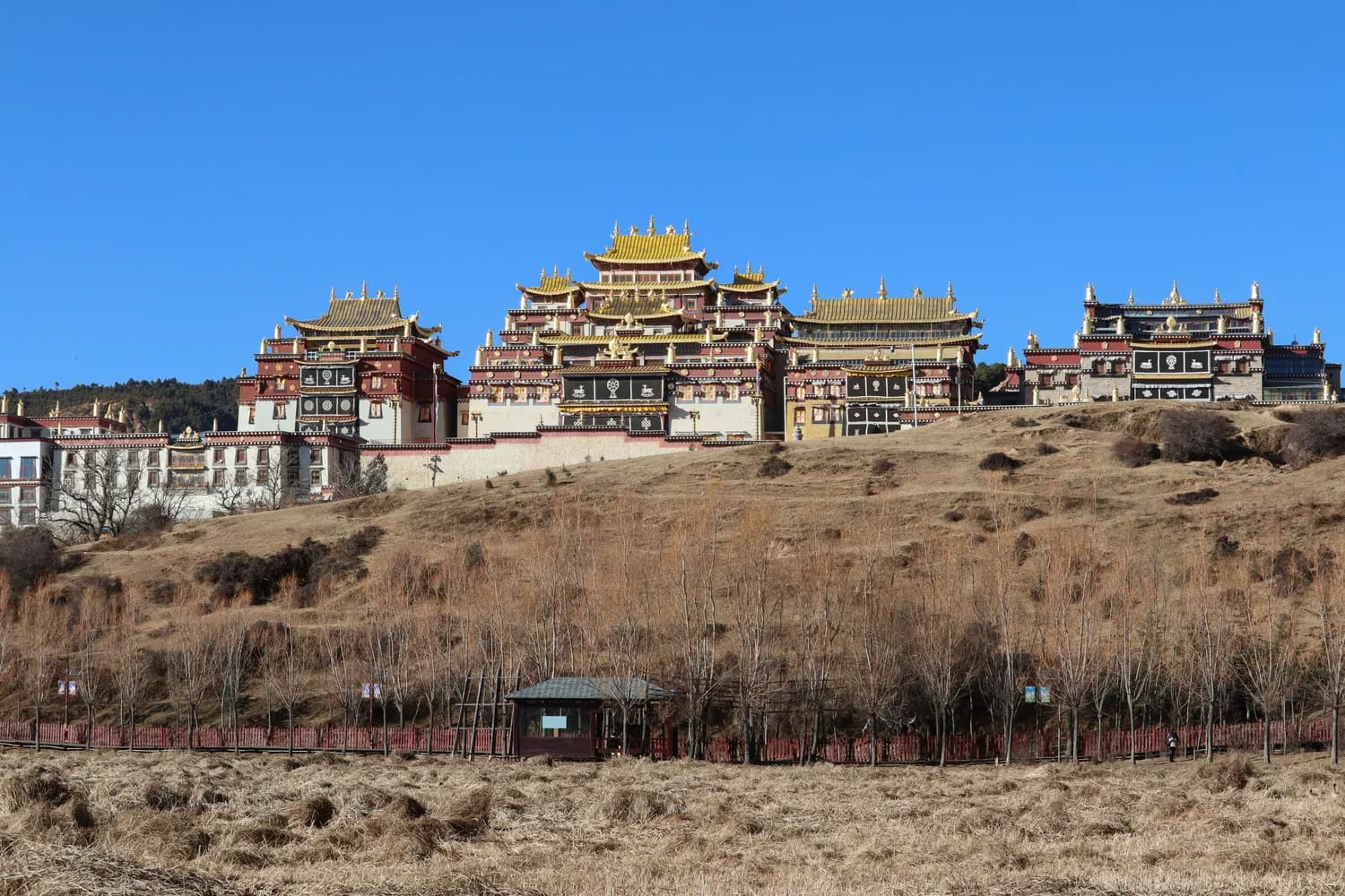 探访阿坝州神秘古寺，感受千年文化