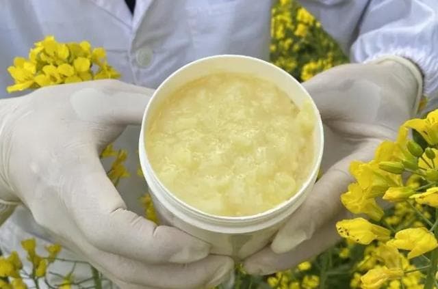 蜂王浆的神奇功效：增强免疫与美容双重保障