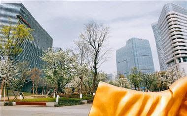 商品房买卖合同备案与网签的区别