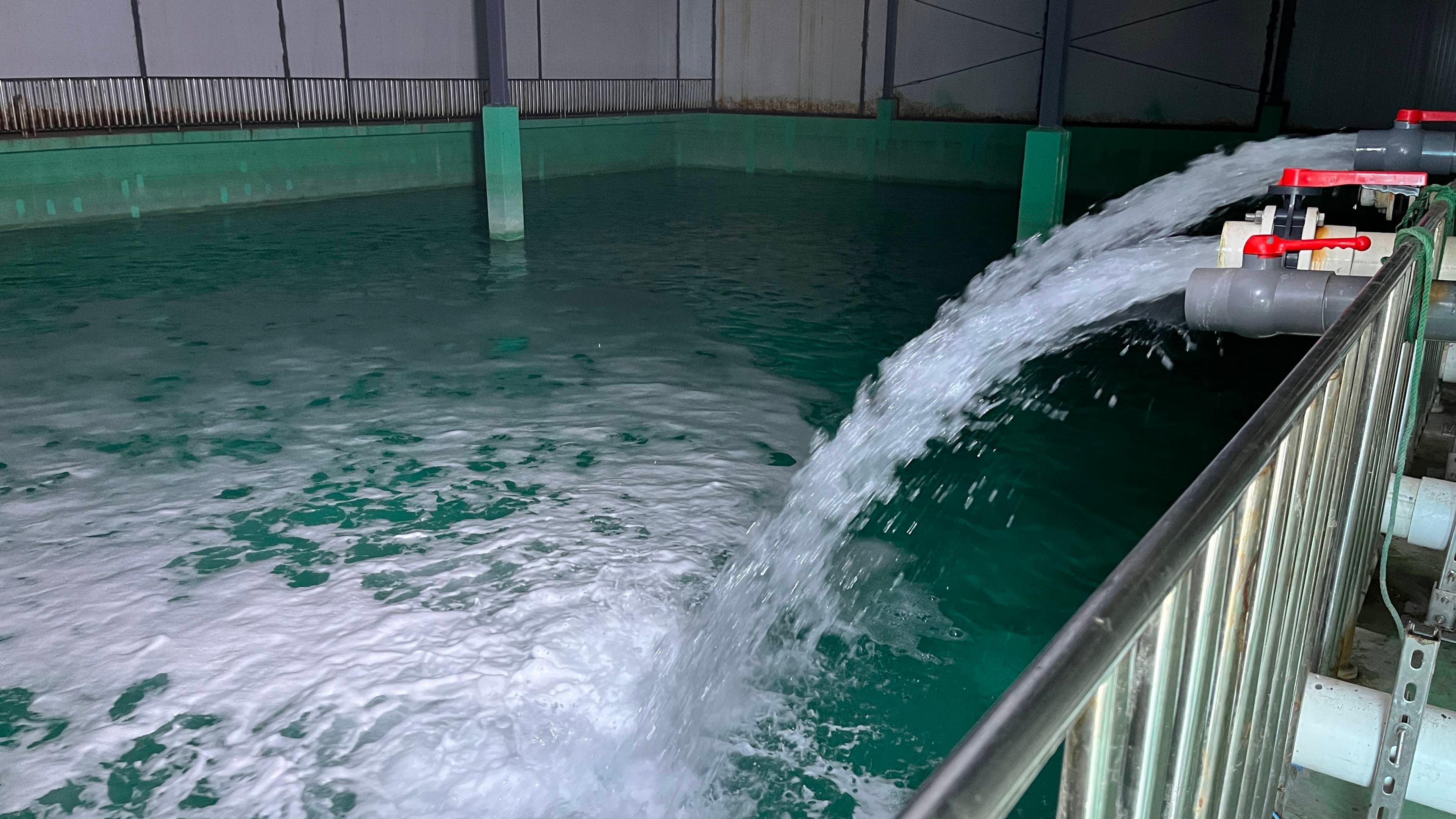 一文详解工厂化循环水养殖系统设计原理