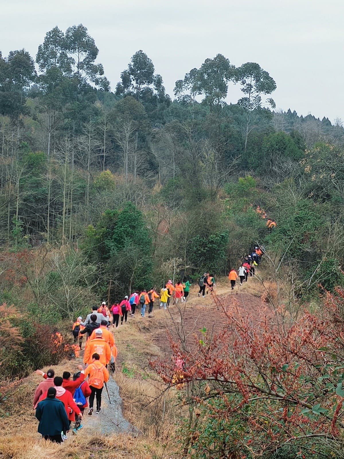 眉山天府新区：从“靠山吃山”到“靠山致富” 高家镇的露营“致富经”