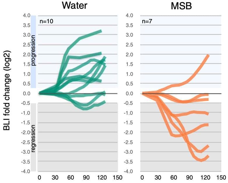 《科学》：促氧化剂抗癌实锤了，科学家首次发现，维生素K3以独特的方式杀死癌细胞