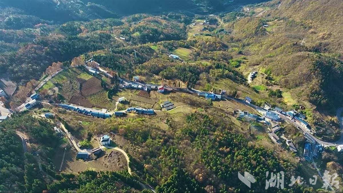 湖北省水利设计院：AI赋能水土保持 智护绿色荆楚