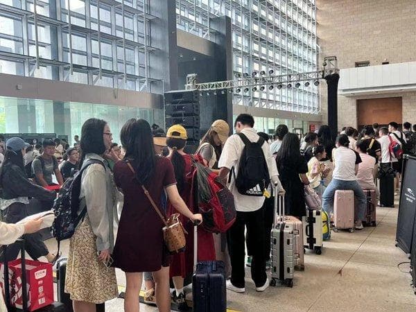 年轻人爱逛的博物馆如何保持“年轻力”