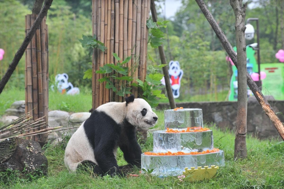 玩转成都必去五景：古迹、熊猫、美食一网打尽