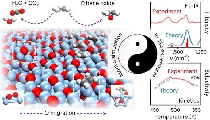 Nature Catalysis：揭示银催化剂神秘面纱：乙烯高效转化新篇章