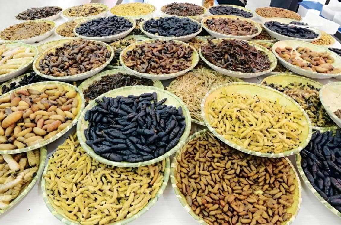 全国这10种昆虫美食，很少有人吃过3种以上，全吃过的真是个狠人