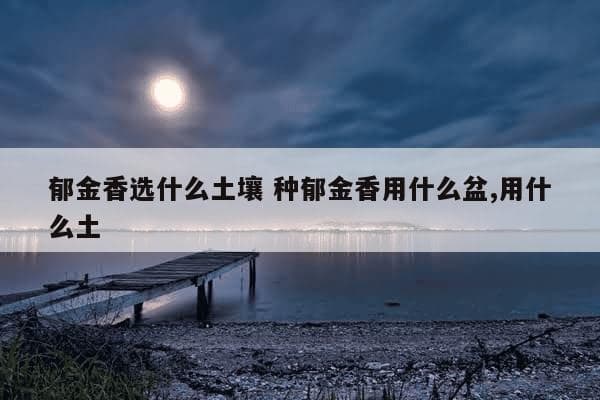 郁金香选什么土壤 种郁金香用什么盆,用什么土