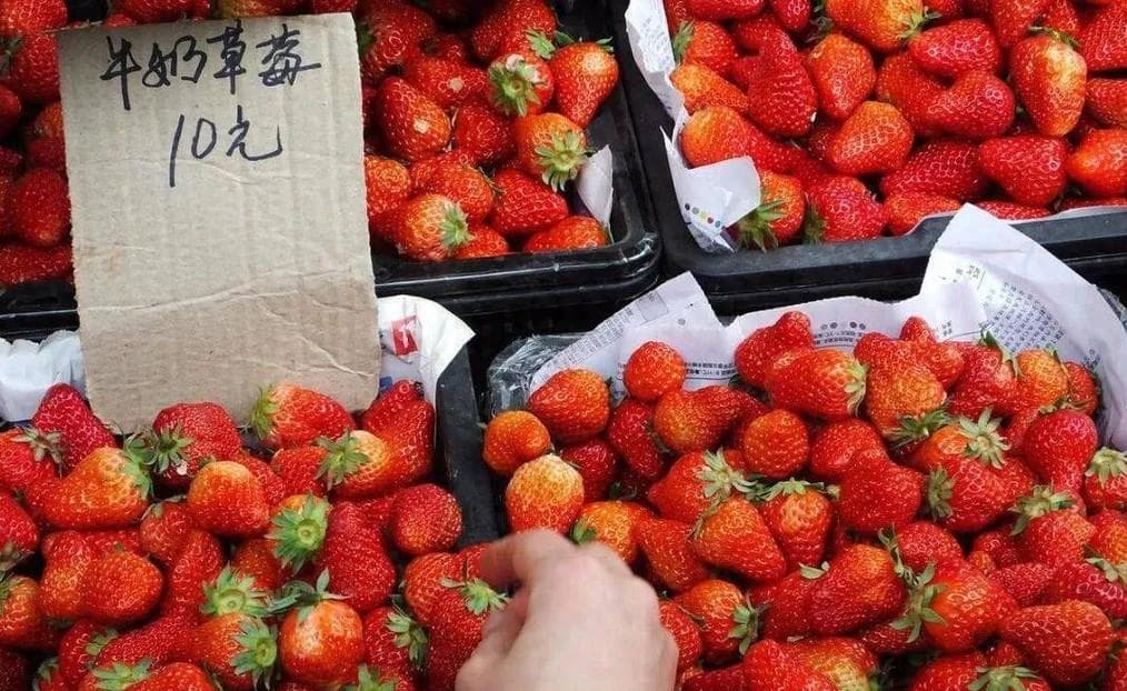 草莓价格大跌，今年草莓为什么这么便宜？果农：3个原因，很现实