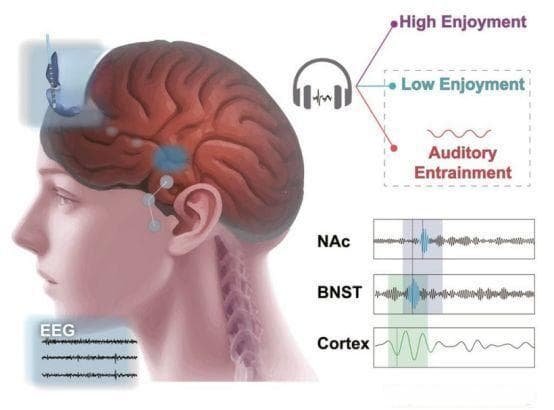 音乐疗法缓解抑郁症有奇效 我国科学家探索新型音乐治疗工具与应用
