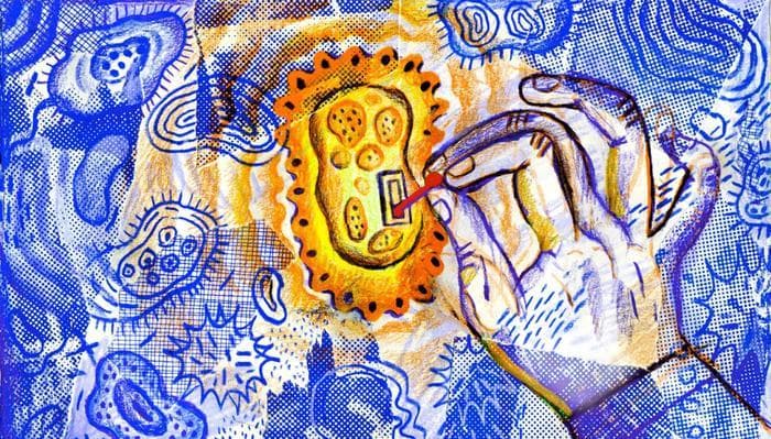 中国科学院团队取得合成生物学治疗癌症重要进展！成功破解肿瘤与细菌的“摩斯密码”