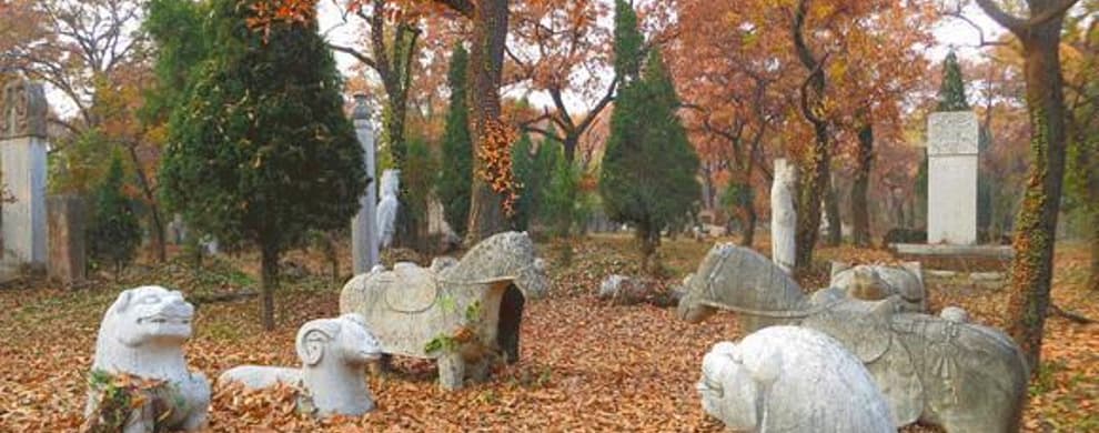曲阜三孔景区：世界文化遗产，东方文化圣城