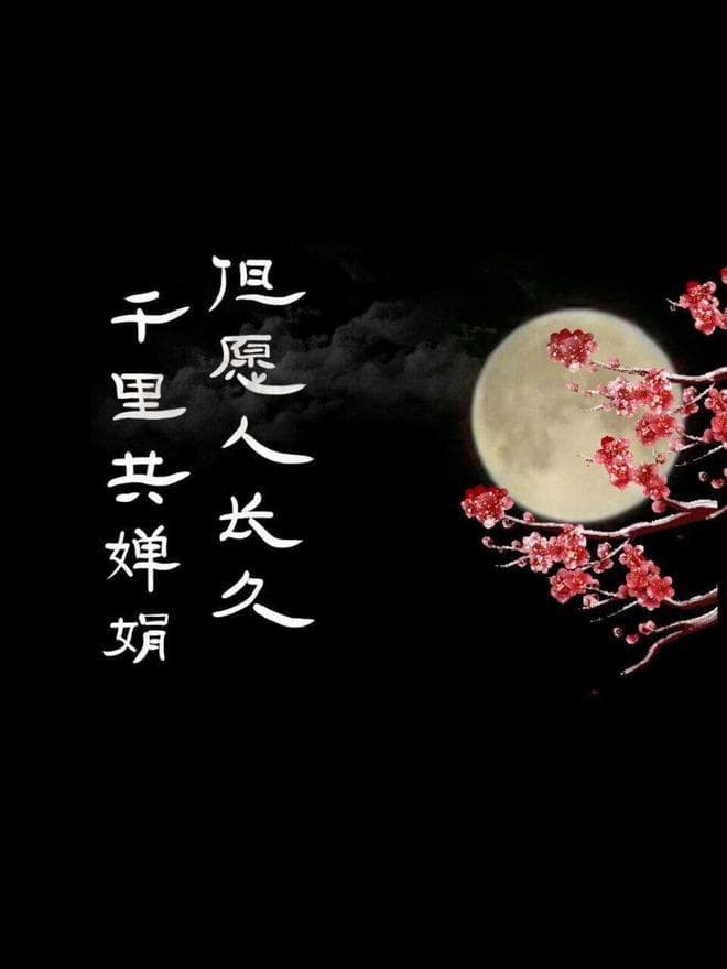 20句经典古诗句，背下来，你也可以满腹经纶