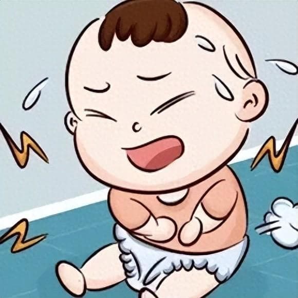 鸡内金：被忽视的“消食宝藏”，竟有这般神奇功效