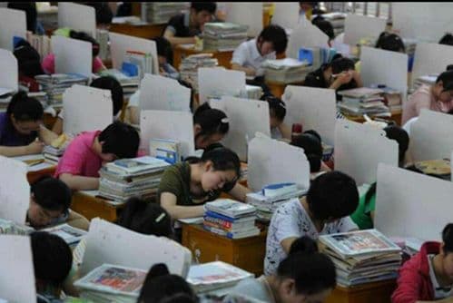 揭秘“卷”这个网络用语的真正含义！