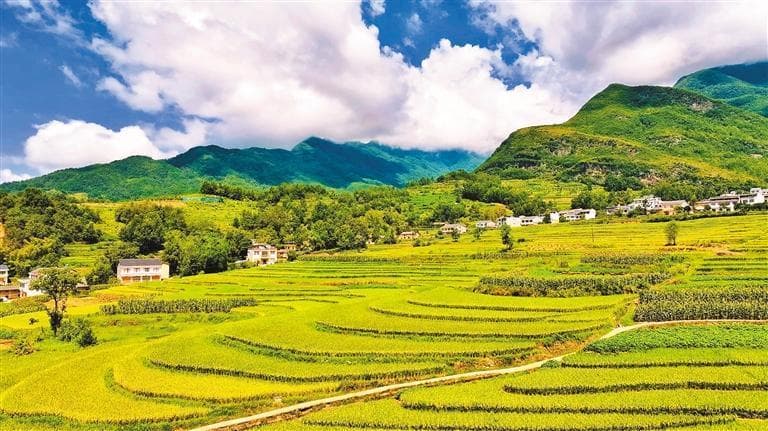 世界的凤堰 汉阴的梯田——探访西北地区面积最大的古梯田群落