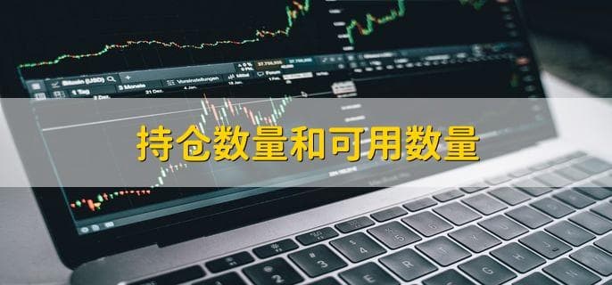 持仓数量和可用数量，股票中的专业用语