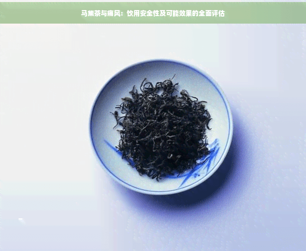 马黛茶与痛风：饮用安全性及可能效果的全面评估