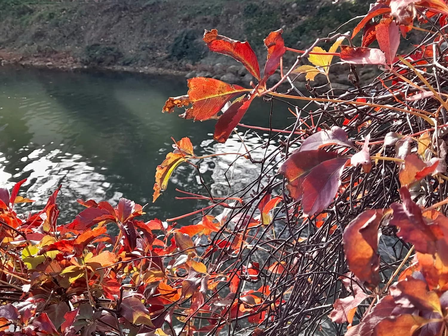 秋冬打卡：漓江与象鼻山的绝美风景