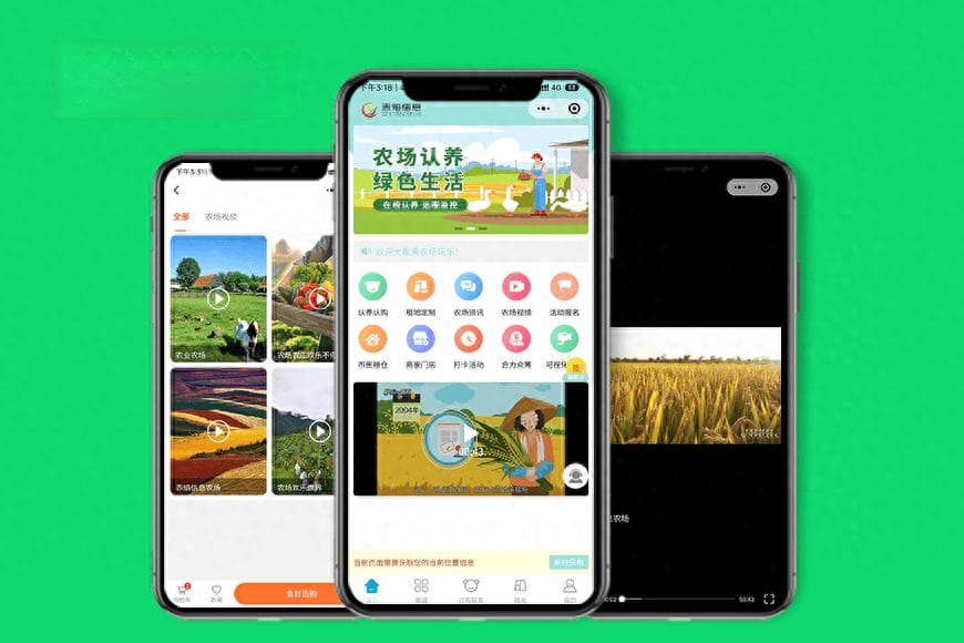 从土地到餐桌，生态农业与认养新模式，为何成为乡村振兴的新星