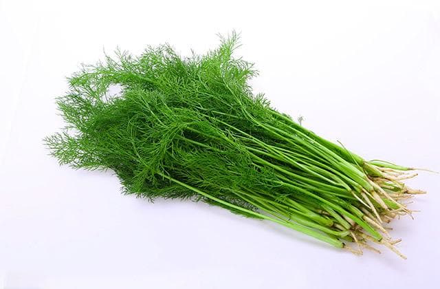 小茴香怎么吃 小茴香的功效与作用有哪些