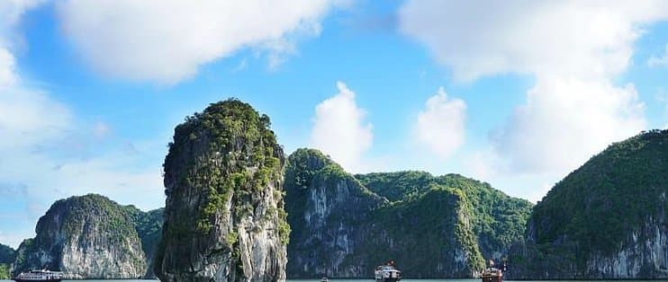 鱼塘生态平衡维护策略研究
