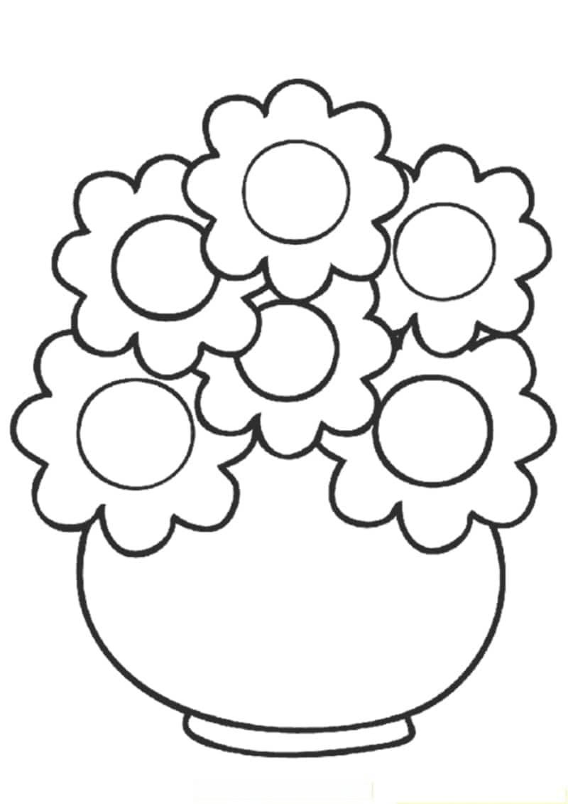 玫瑰花绘画教程：从基础到完成的详细步骤