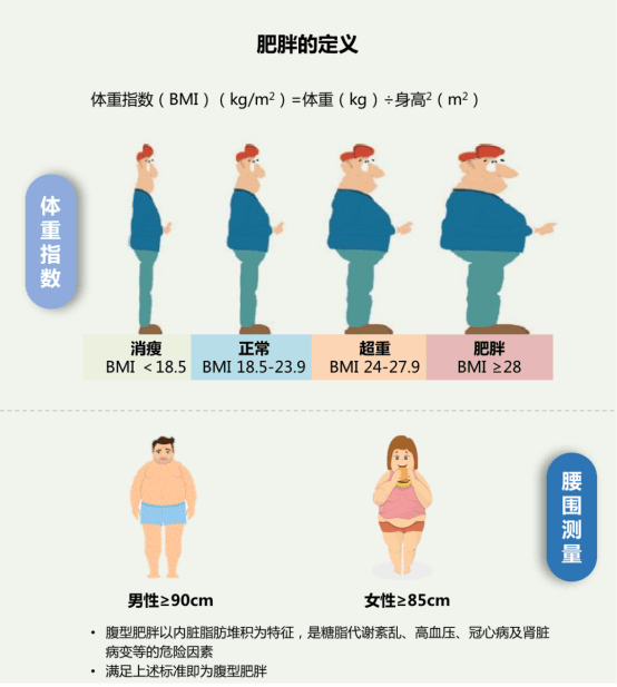 科学认识肥胖，守护健康未来