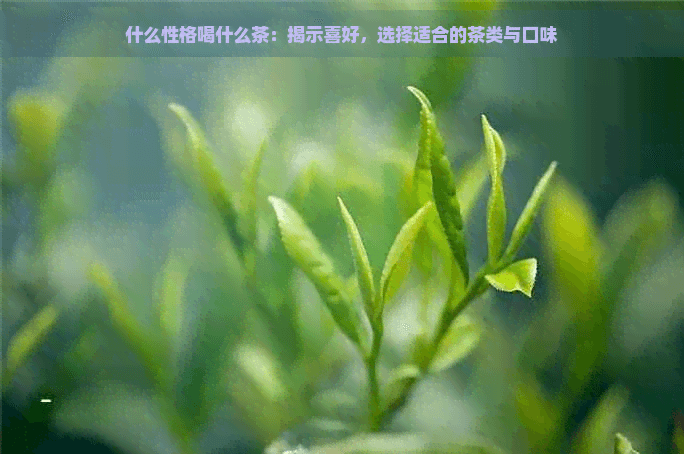 什么性格喝什么茶：揭示喜好，选择适合的茶类与口味