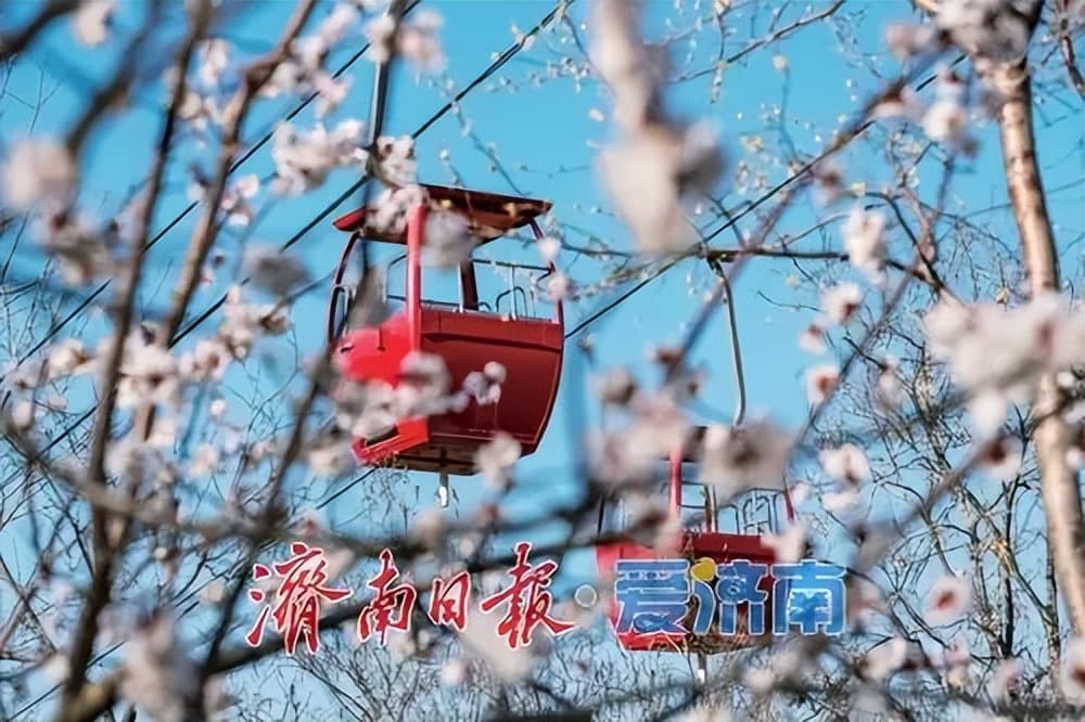 邂逅一城浪漫与美好 这个春天，总要来趟济南