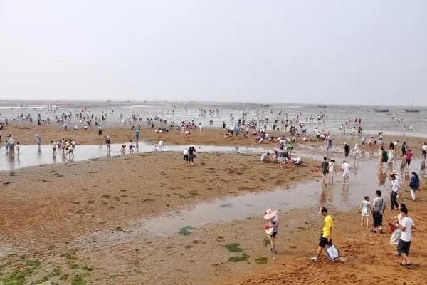日照海滨国家森林公园一日游玩攻略