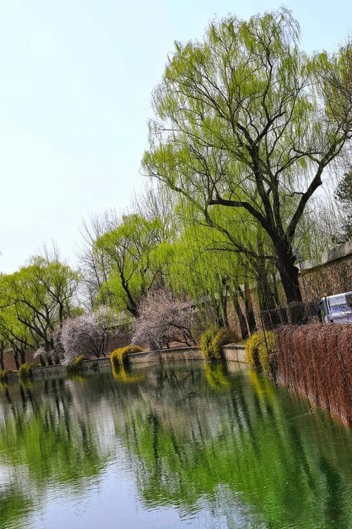 第六感现象解析：心理学视角下的感知能力