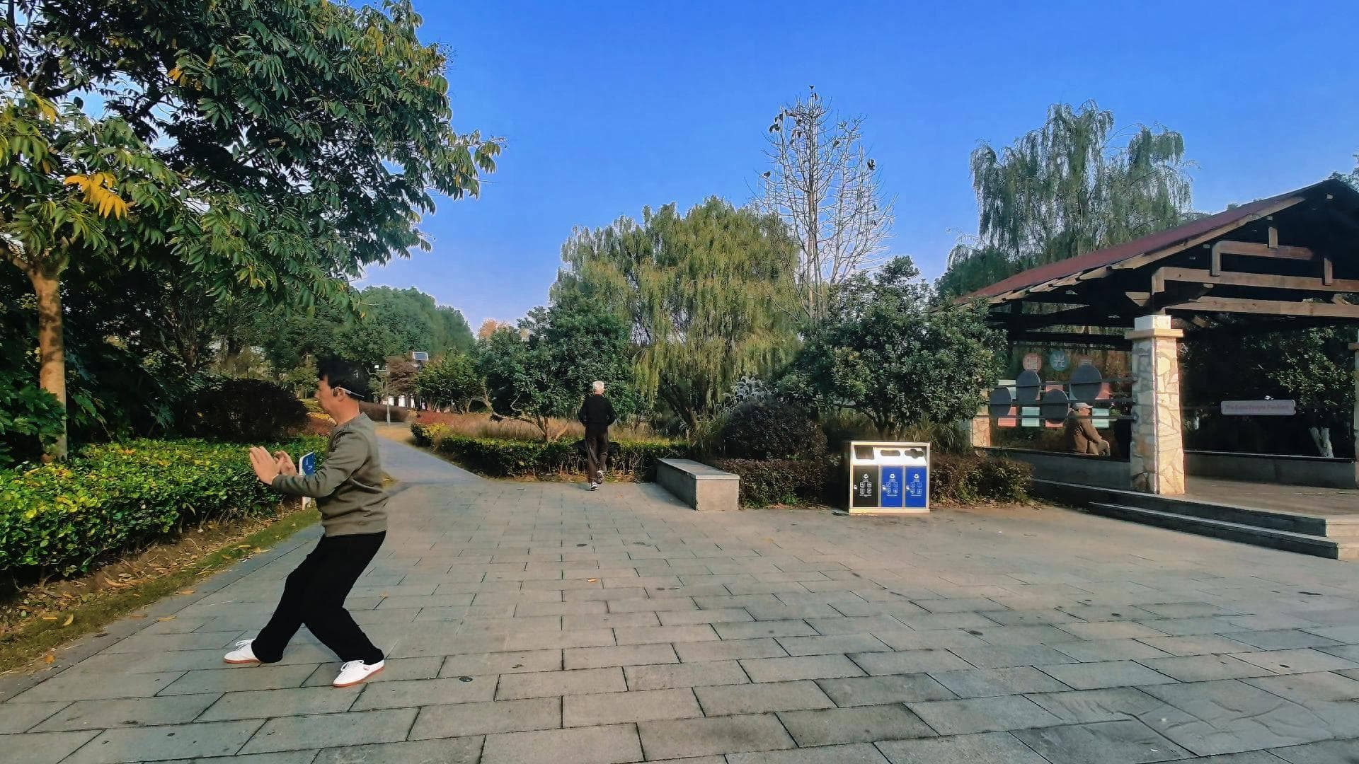 内外合一,从柔劲到虚无,解读太极拳追求至高境界的修炼真谛