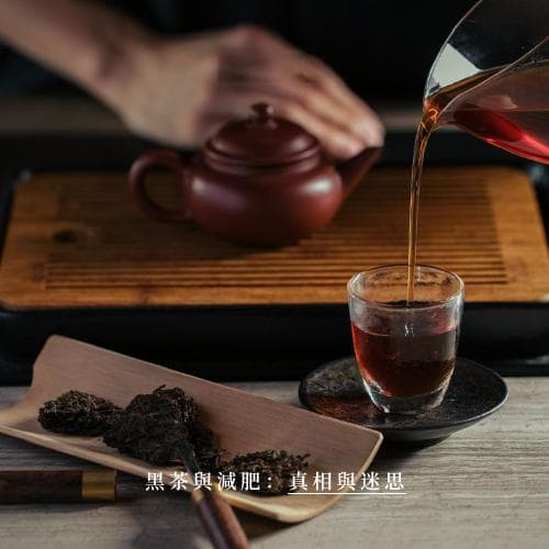 黑茶与减重：功效、迷思与饮用指南