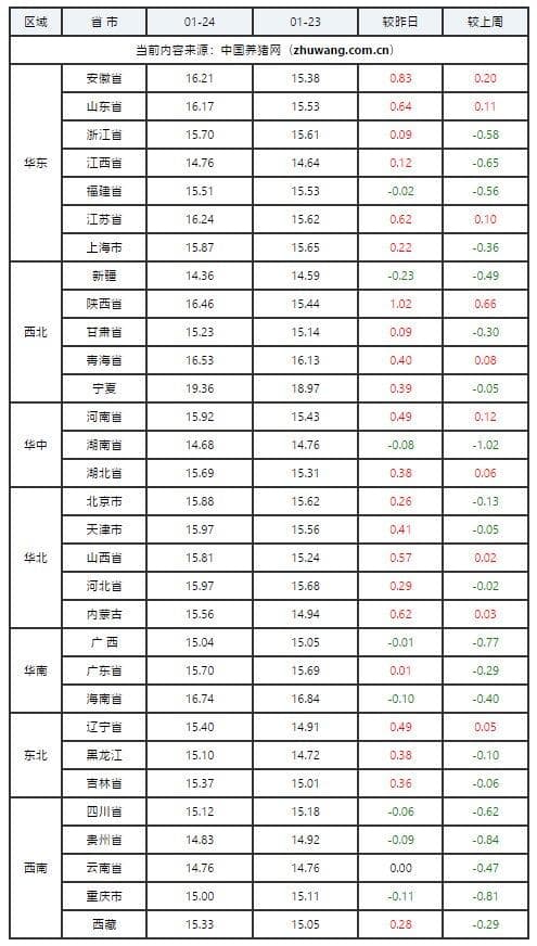 猪价迎来新转机！多重利好推动猪价一夜逆转上扬
