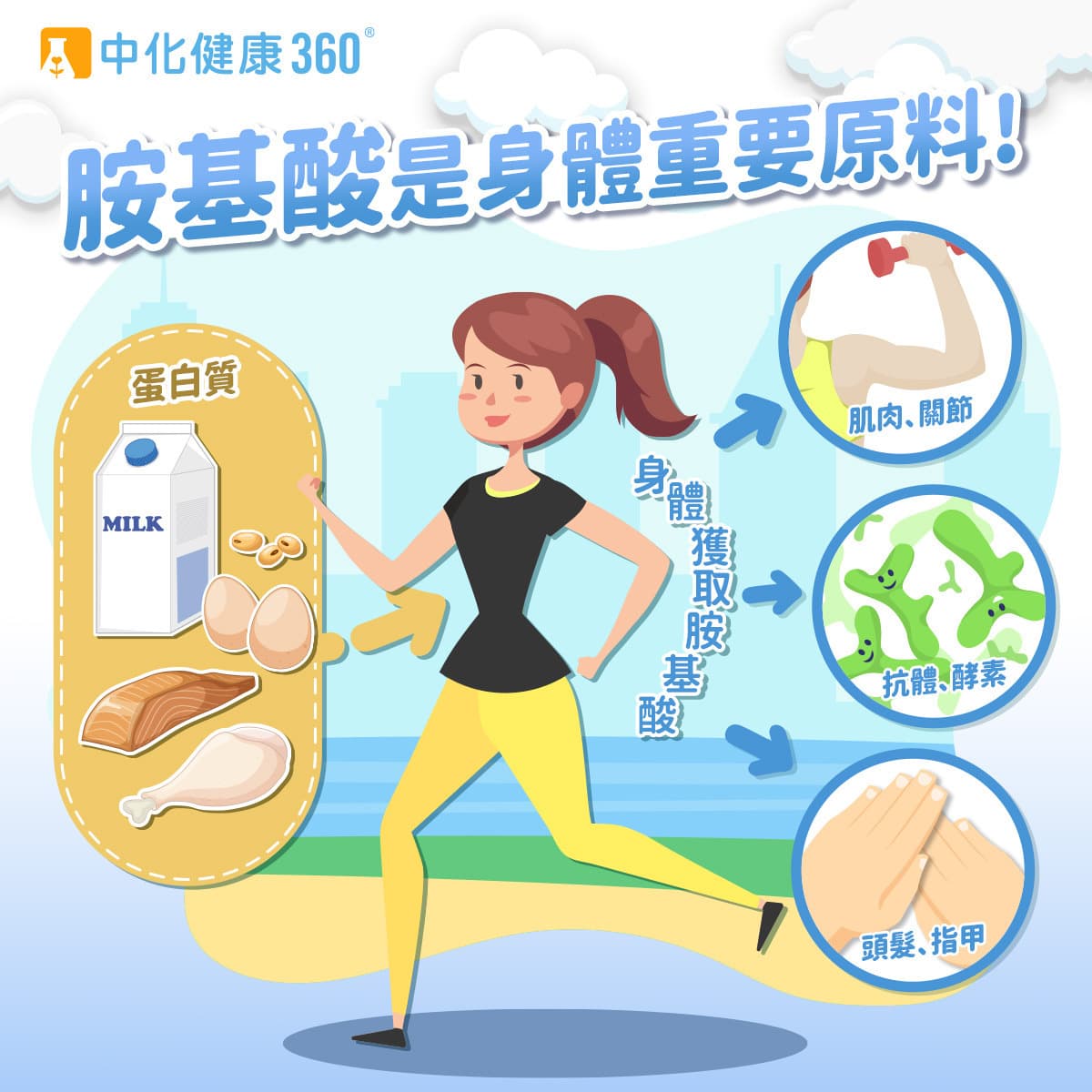 肌肉增長有訣竅！吃對蛋白質比吃多更重要！