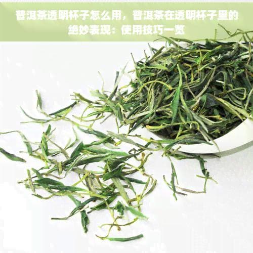 普洱茶透明杯子怎么用，普洱茶在透明杯子里的绝妙表现：使用技巧一览