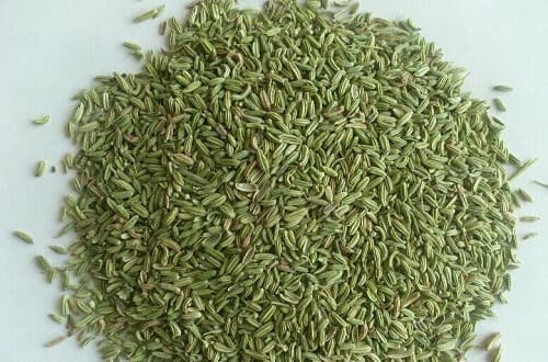 茴香的功效与作用及禁忌