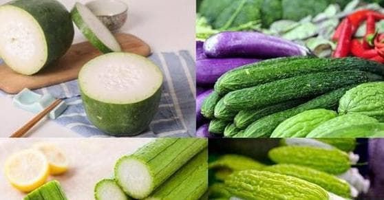丝瓜的全面解析：营养成分、碳水含量及食用建议