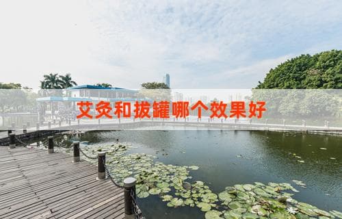 艾灸和拔罐哪个效果更好？对比解析
