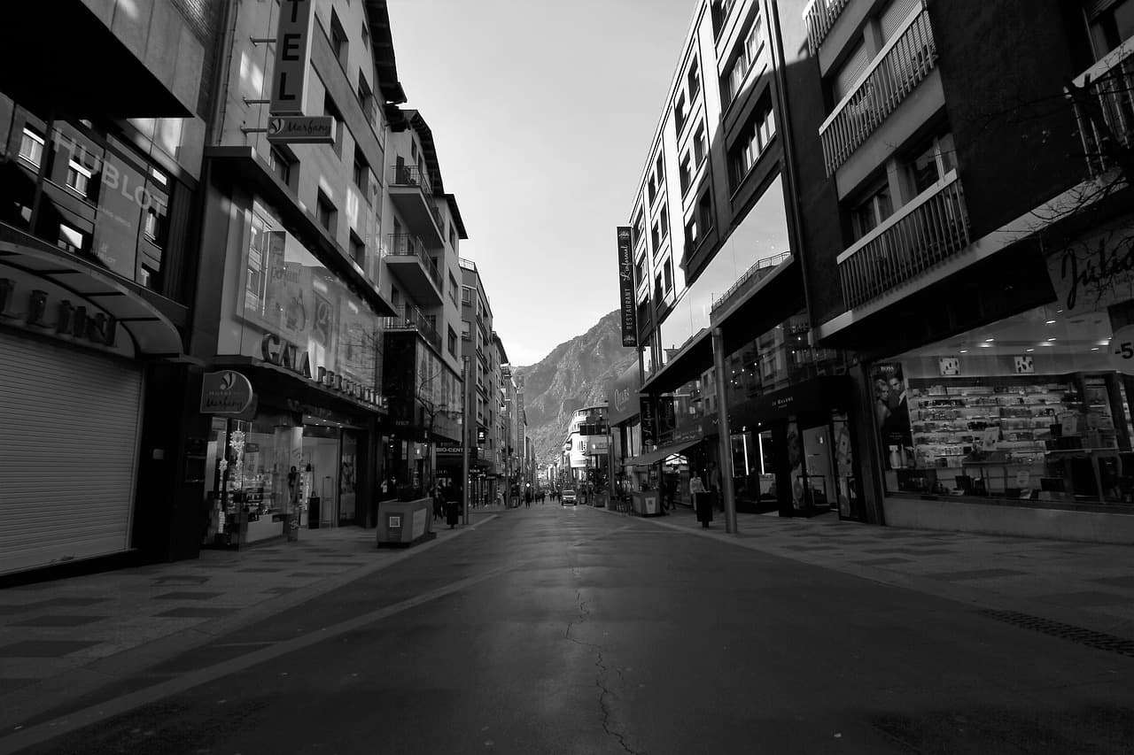 丹竹头属于哪个街道